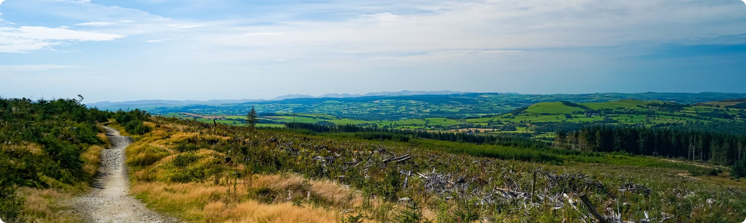 Is climate change happening faster than expected?