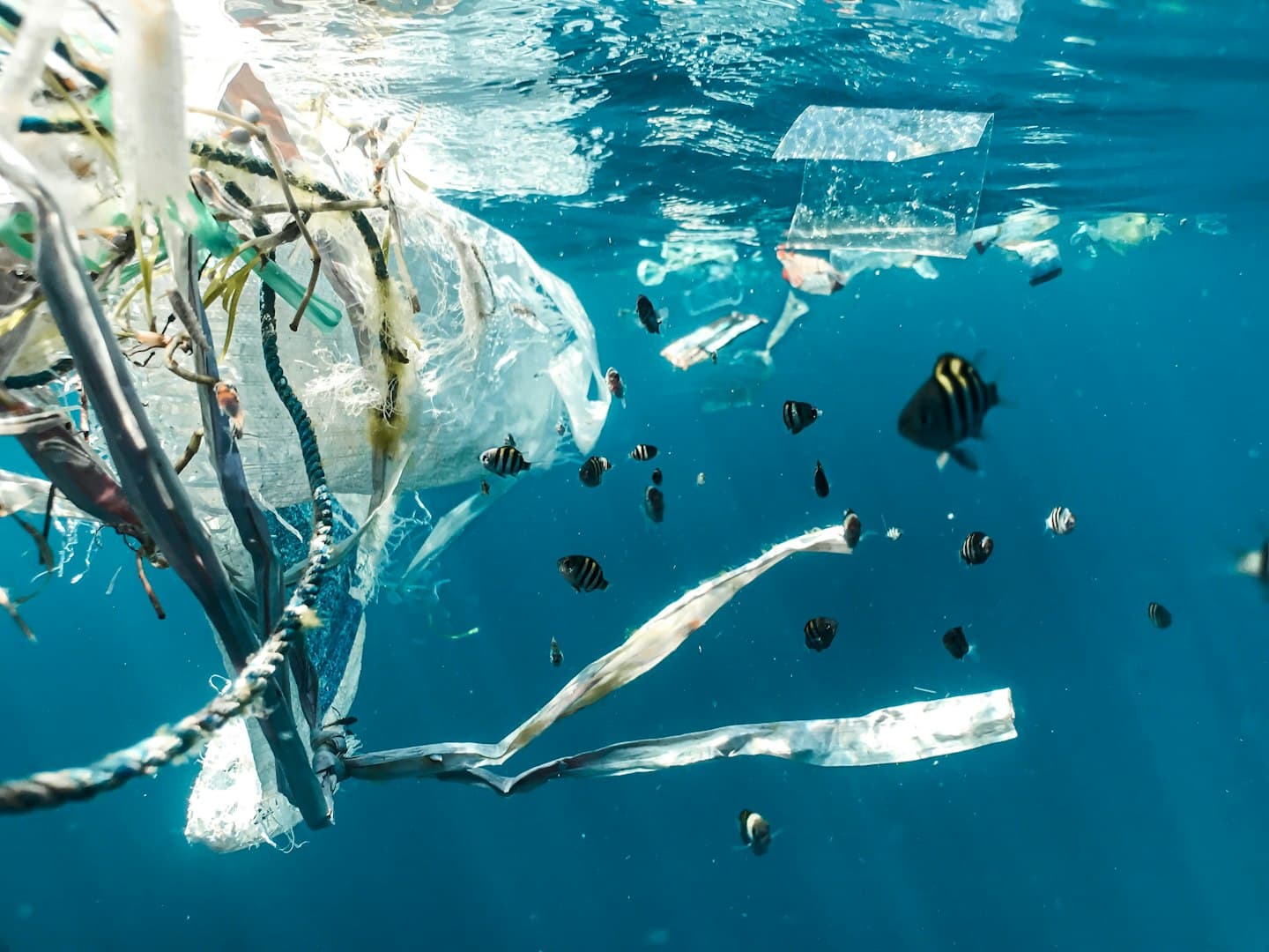 Ocean plastic pollution: the silent crisis beneath the waves